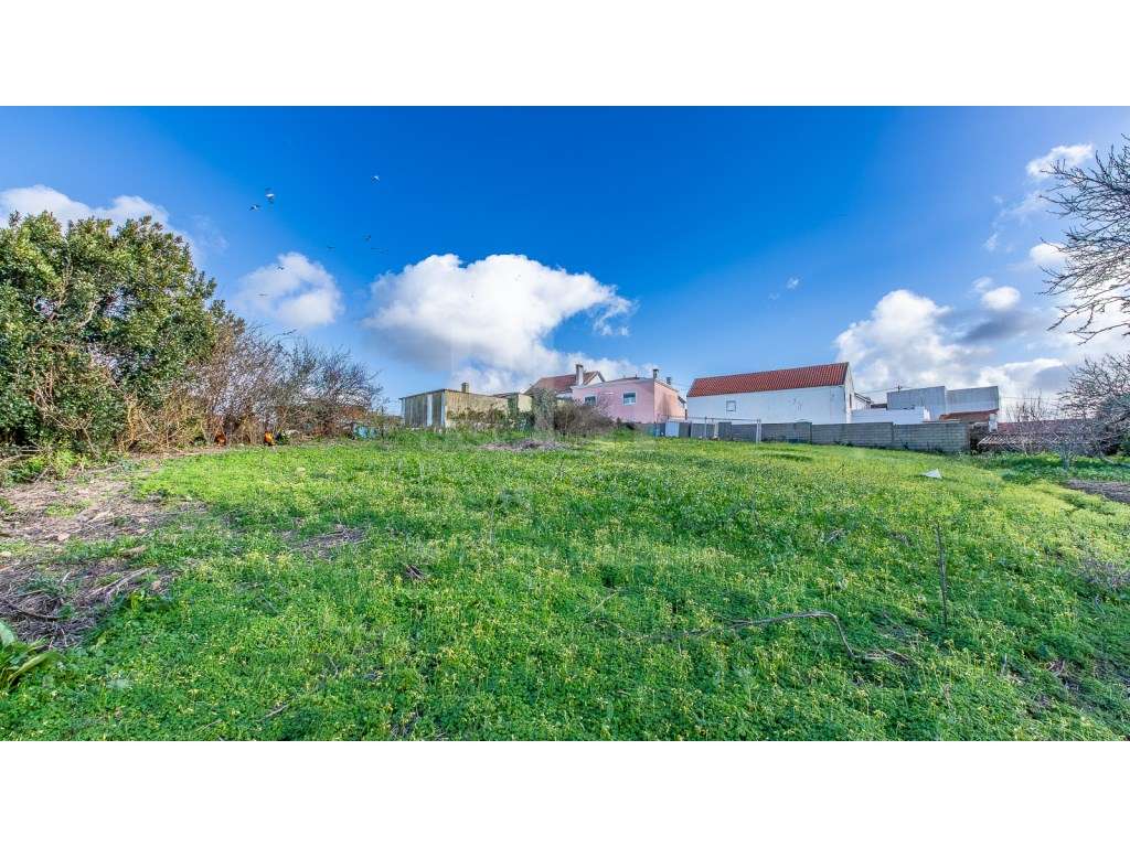 Vende Terreno - Ericeira 15 km, A Casa das Casas - Grande imagem: 3/6