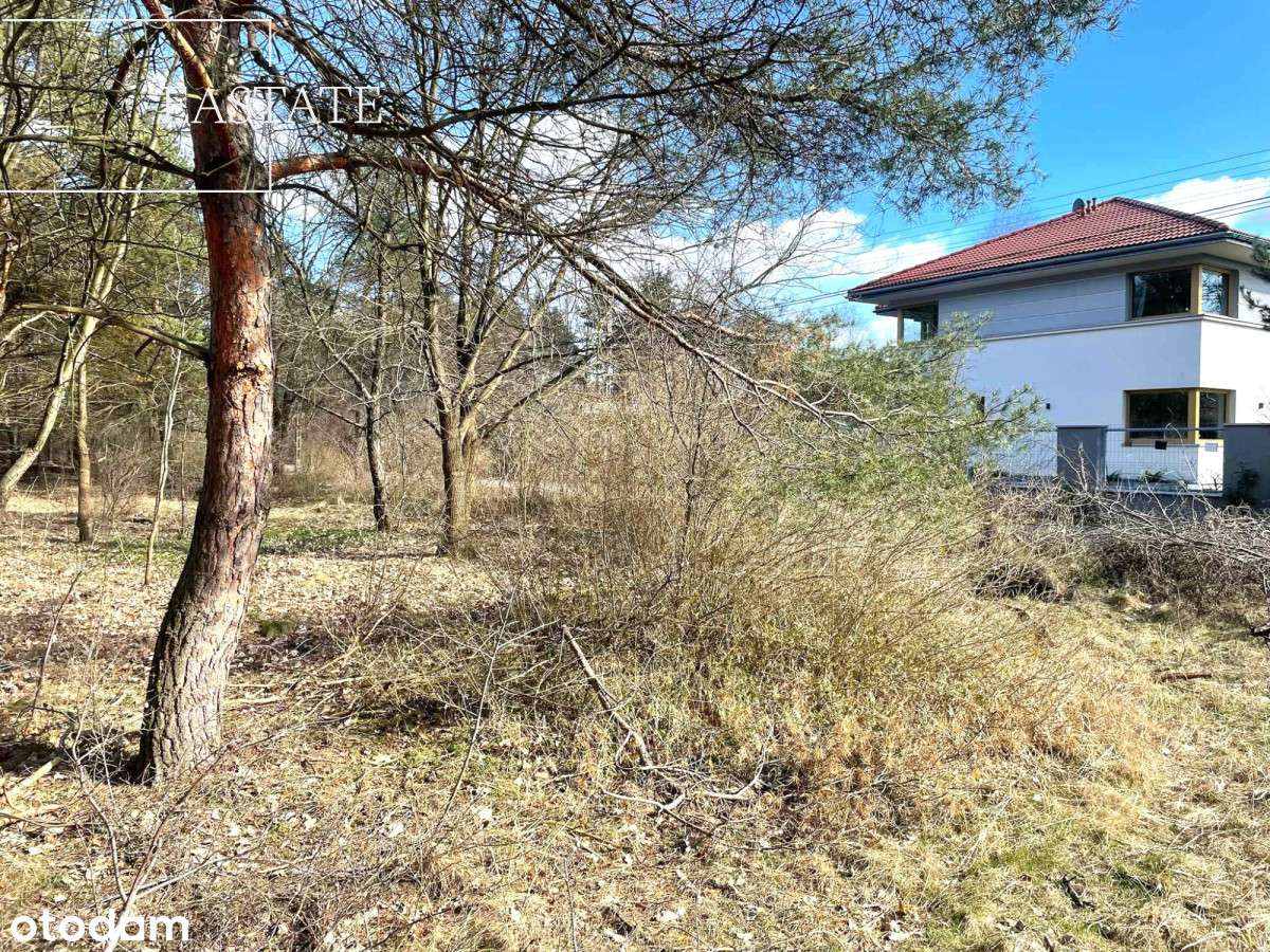 Działka z potencjałem usługowym – blisko Warszawy - Pełny obrazek: 5/13