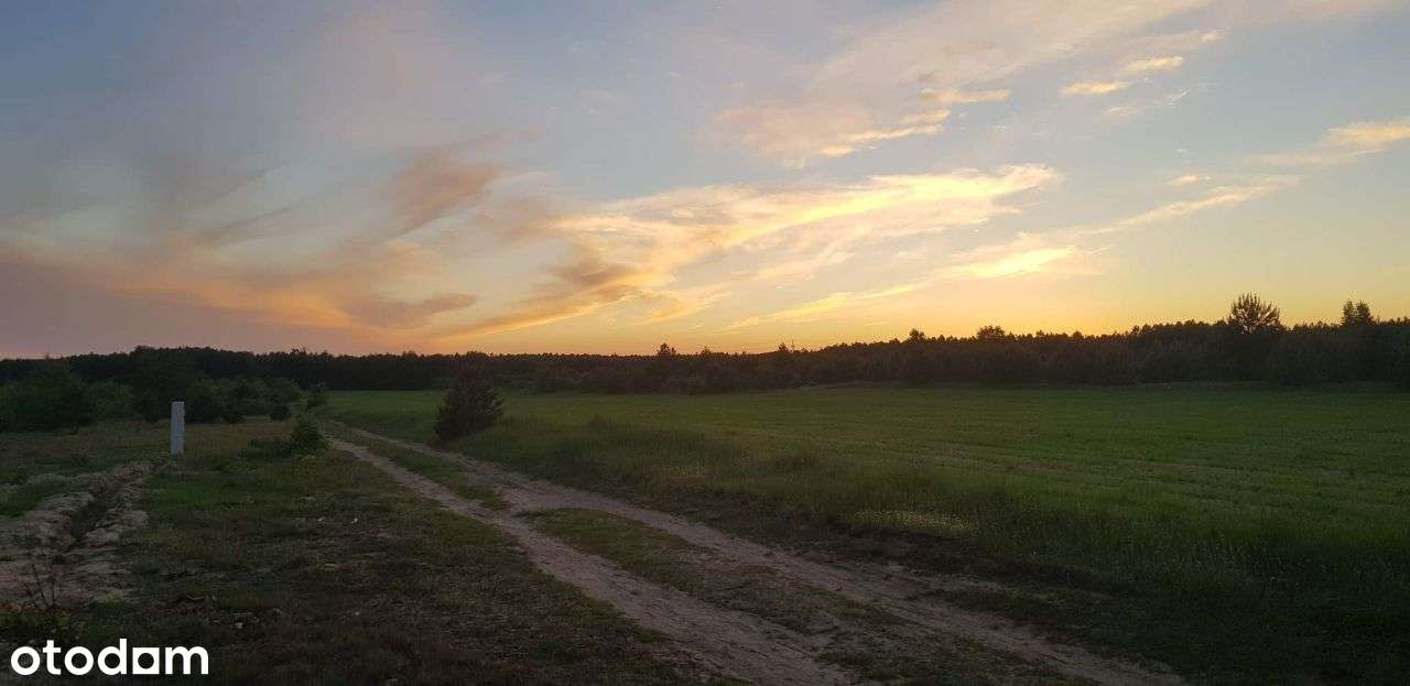 Malownicze działki na Poj. Brodnickim - Bryńsk - Pełny obrazek: 5/9