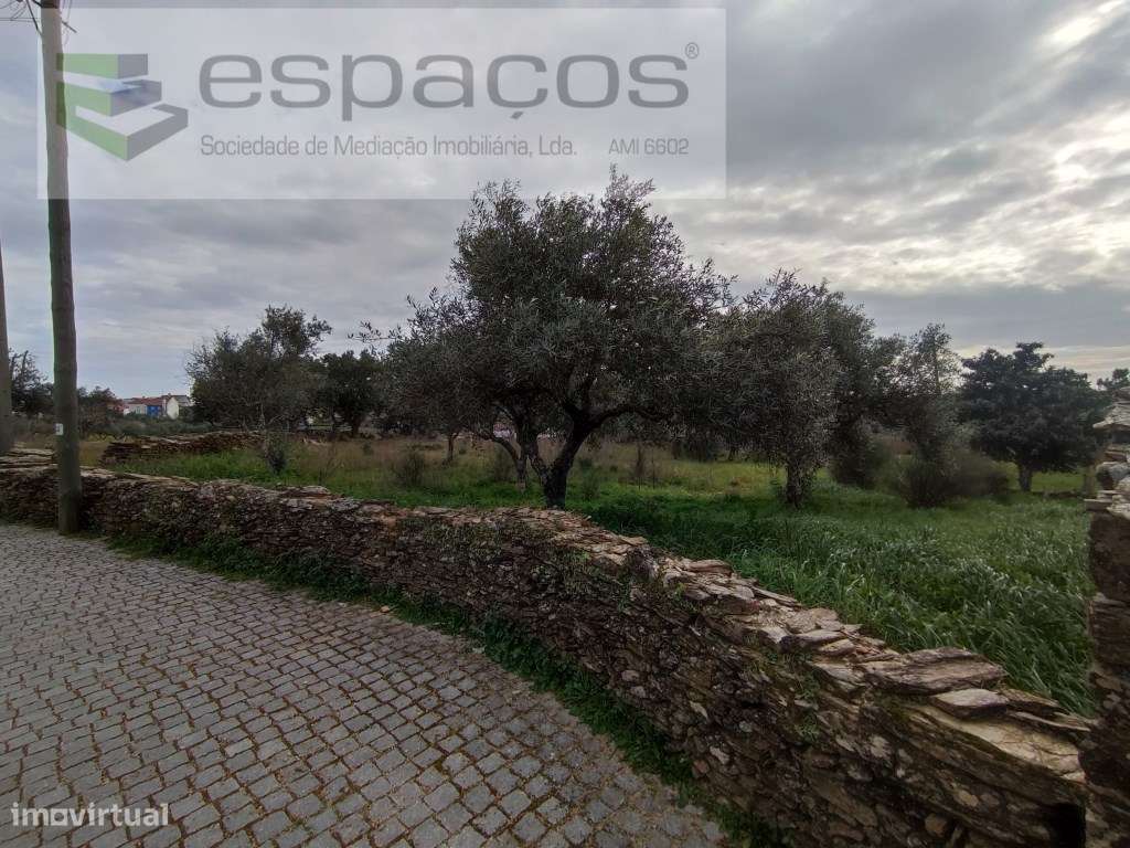 Terreno com viabilidade de construção - Benquerenças - Grande imagem: 2/4
