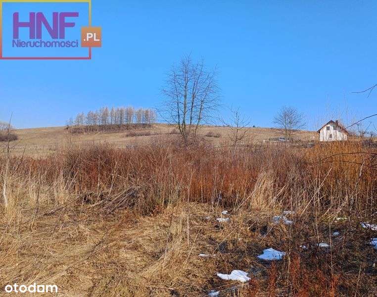 działka budowlana w Krużlowej Wyżnej 22,5ar - Pełny obrazek: 4/17