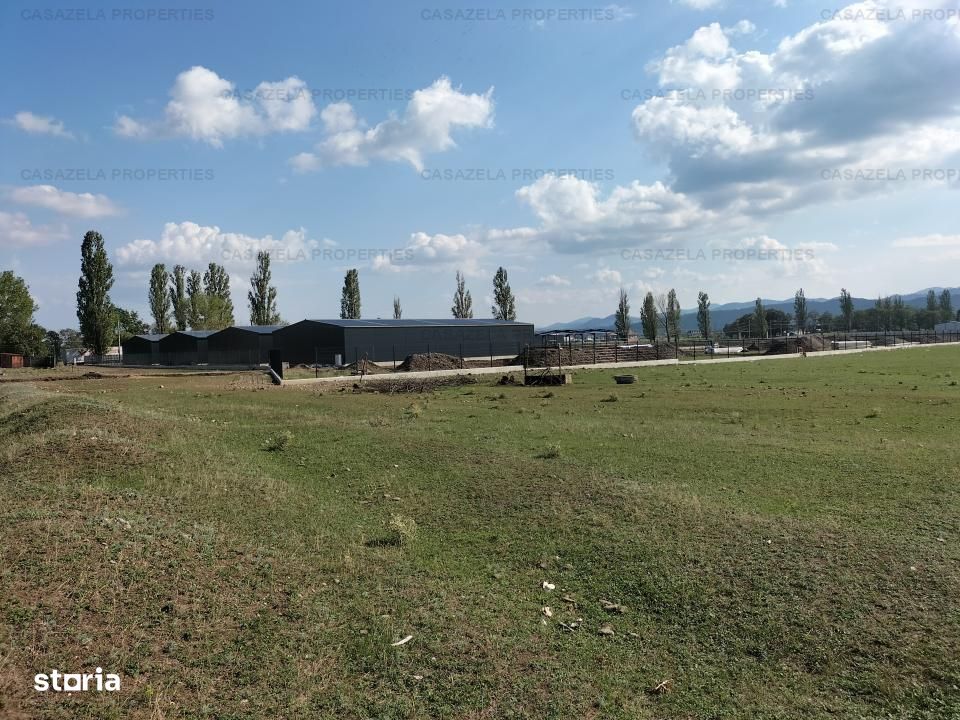 Teren intravilan 3600 mp situat in Savinesti, judetul Neamt