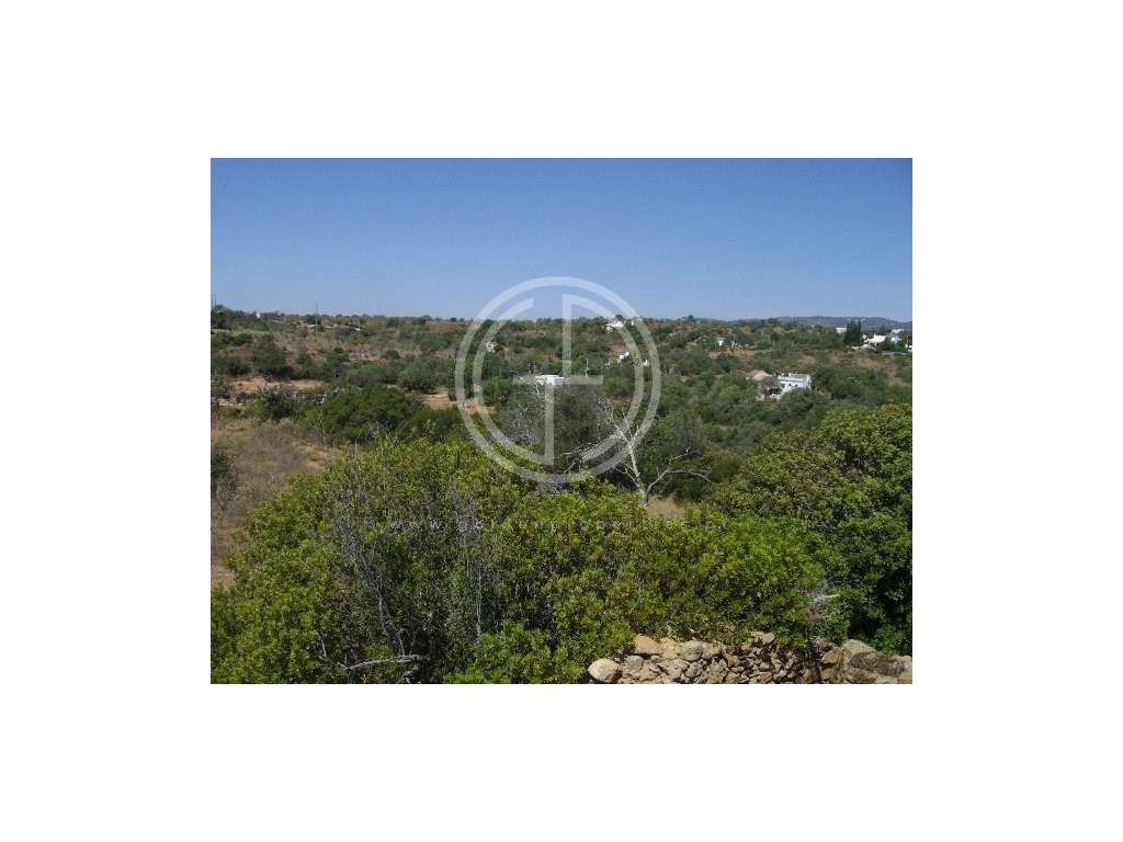 Terreno com Vista Mar em Quatrim Norte - Grande imagem: 4/15