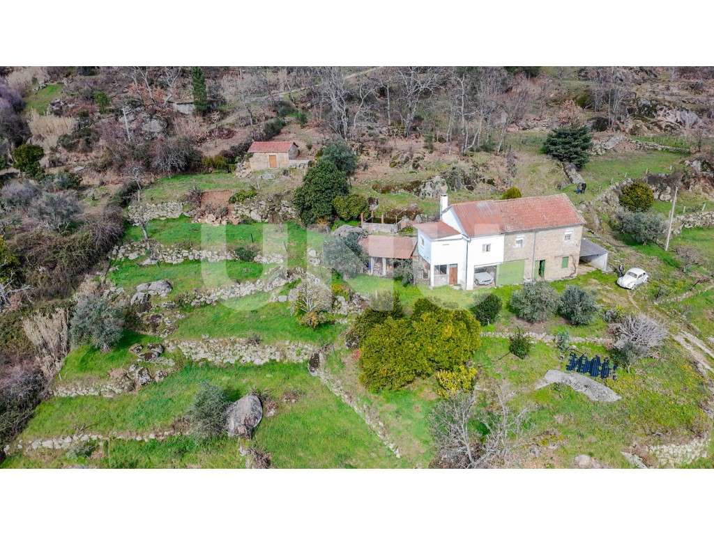 Quinta T2 com Habitação, Infraestruturas Agrícolas e Terreno com Vi... - Grande imagem: 2/49