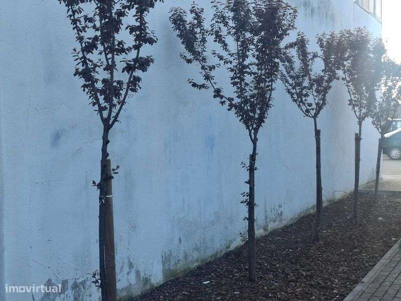 Loja para comercio ou transformar em apartamento T2 (Projeto incluído) - Grande imagem: 5/10