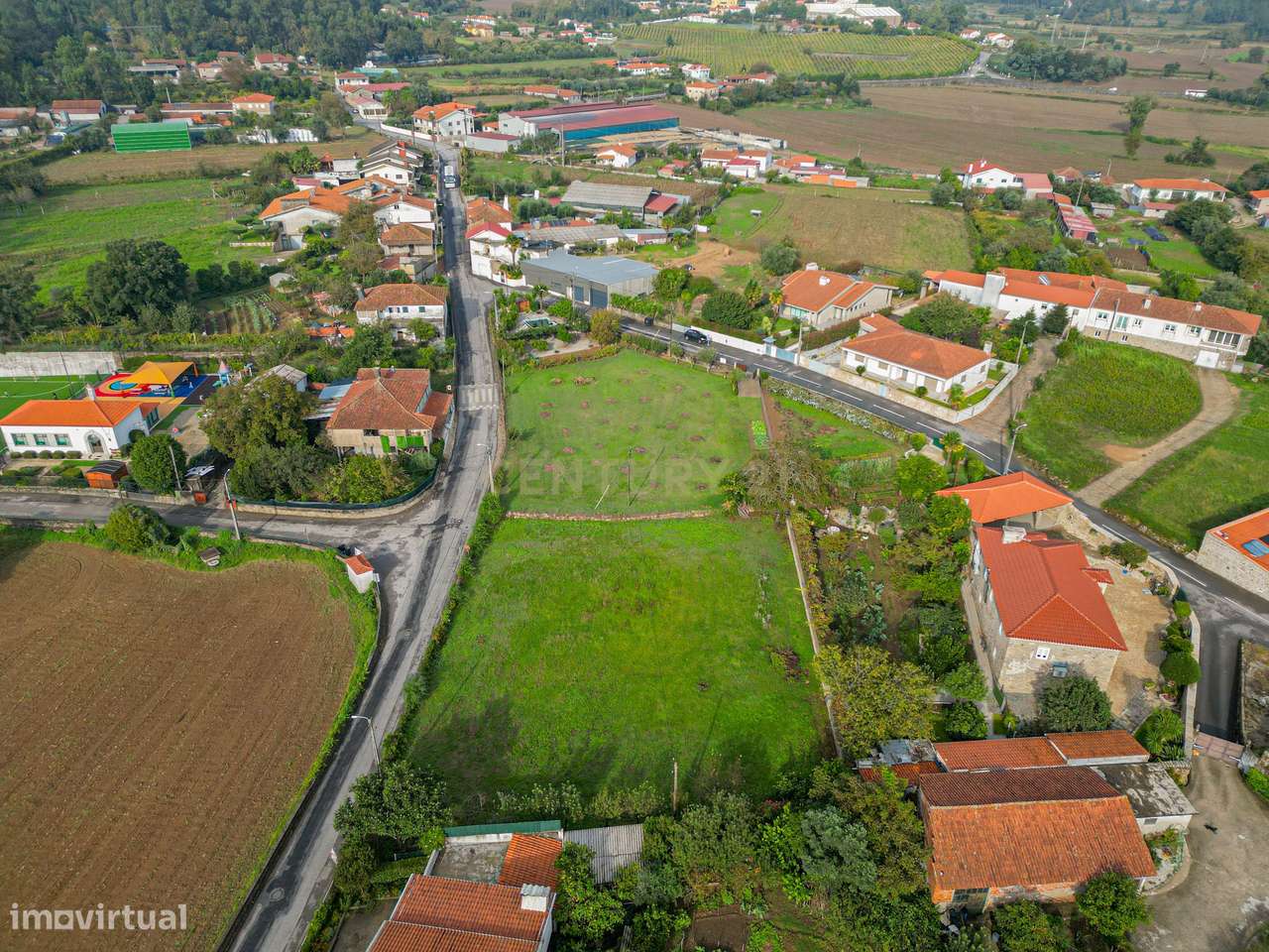 Terreno de construção em Alvito S. Martinho.-10