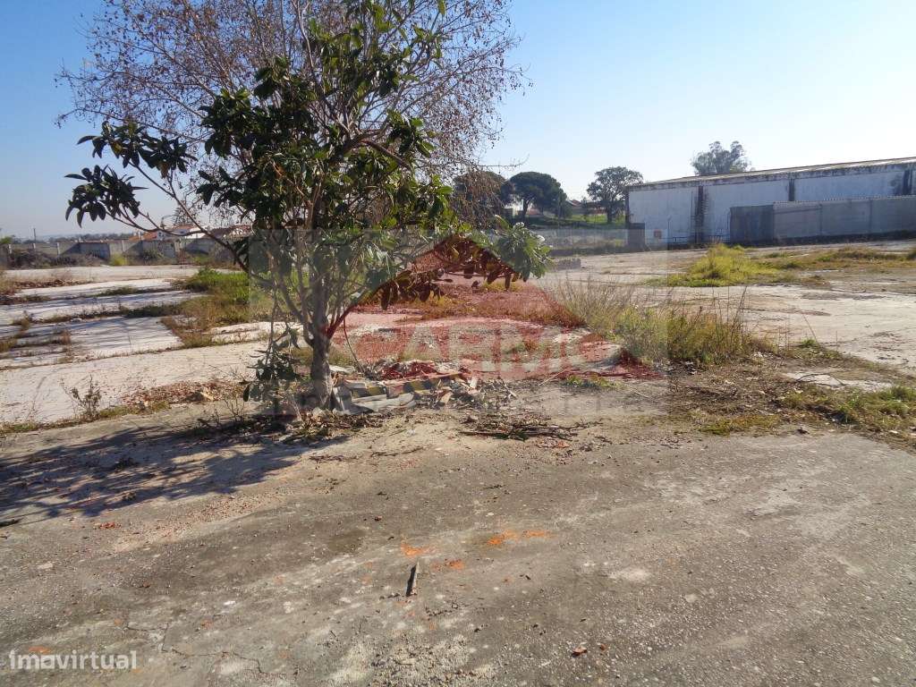 Terreno / Moita. - Grande imagem: 5/28