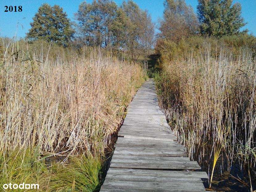 Działki nad Jeziorem Studa. Piękny widok - Pełny obrazek: 5/20