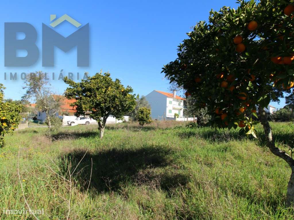 Terreno para construção - Grande imagem: 4/7