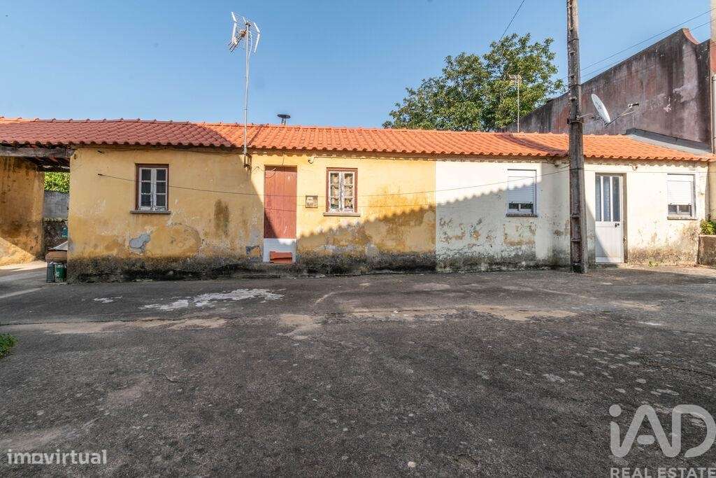 Prédio em Monte Real e Carvide de 470 m2 - Grande imagem: 5/15