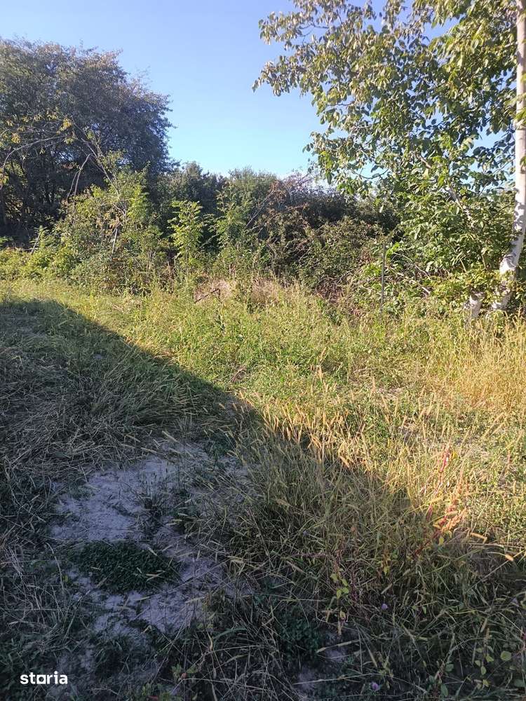 Teren de Vânzare-Rășinari-3