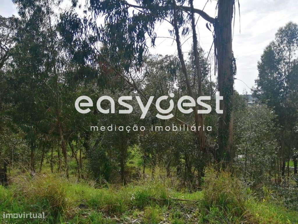 Terreno Rústico com 15812m2 com possibilidade de construção em Taveiro - Grande imagem: 5/17