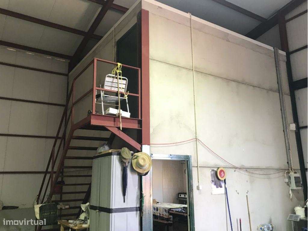 Estremoz Évora herdade 5ha projeto aprovado hotel Rural 4*e nogueir...-15