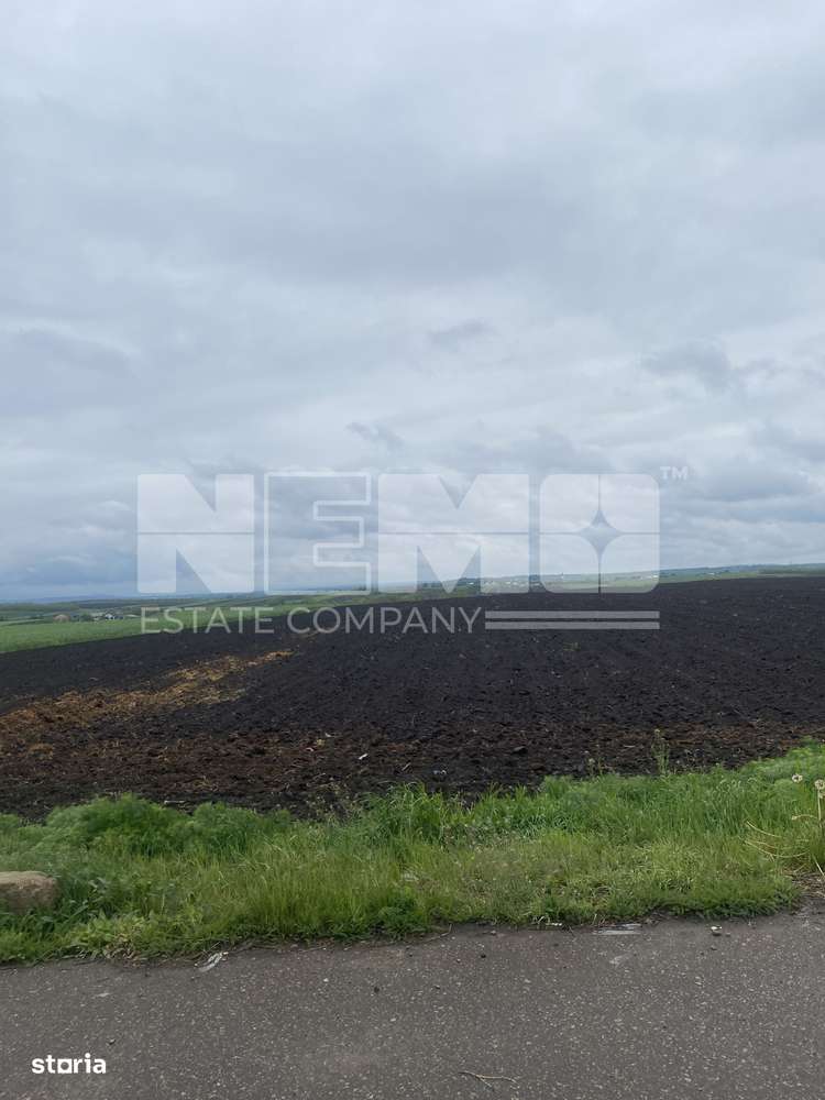 Teren Extravilan | Dornesti | 14.100 Mp - Imagine principală: 4/4