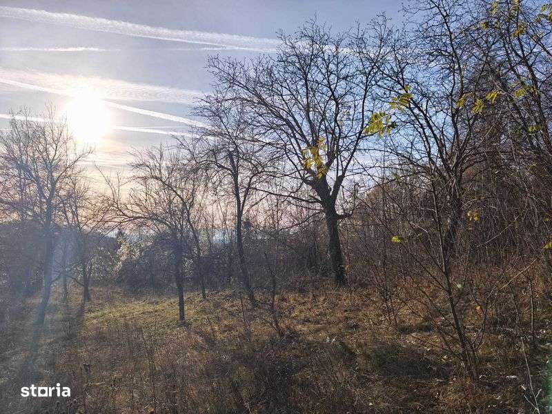 Teren intravilan Breaza 4,000mp cu utilitati. Panorama. Intimitate. - Imagine principală: 4/8