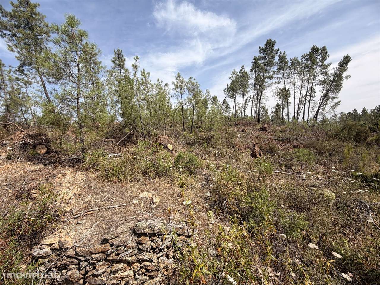 Quinta T0 Venda em Santo André das Tojeiras,Castelo Branco-17