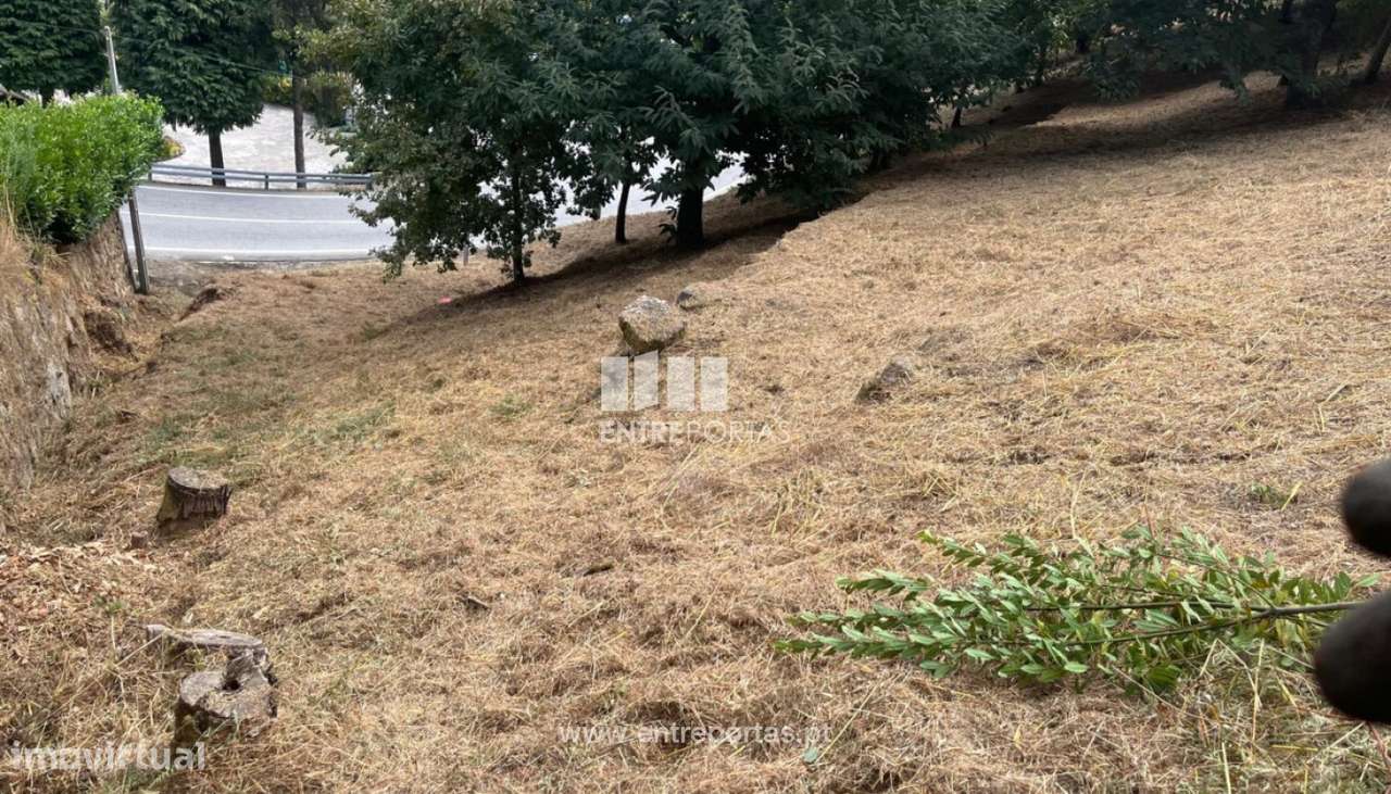 Venda de Terreno, São João de Fontoura Resende - Grande imagem: 5/13