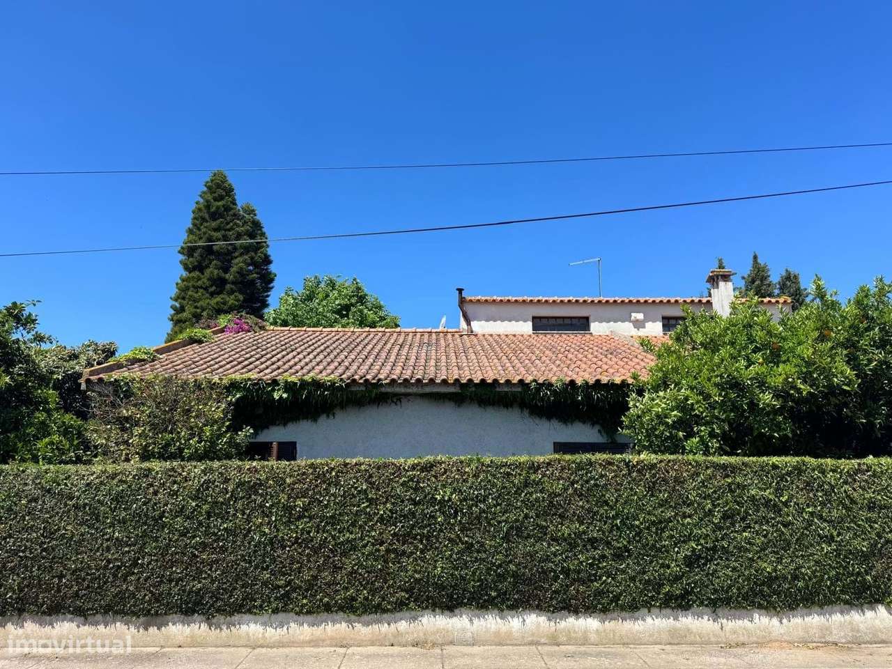Moradia T4 com Jardim e Vista de Campo na Golegã-36