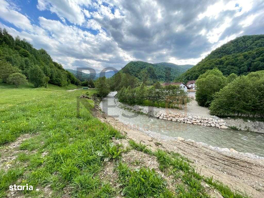 COMISION 0%! Teren superb la Plaiul Foii, pe malul Barsei-6