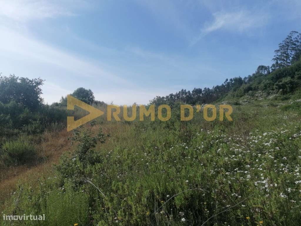 Terreno Rustico Santo Quintino - Grande imagem: 4/13