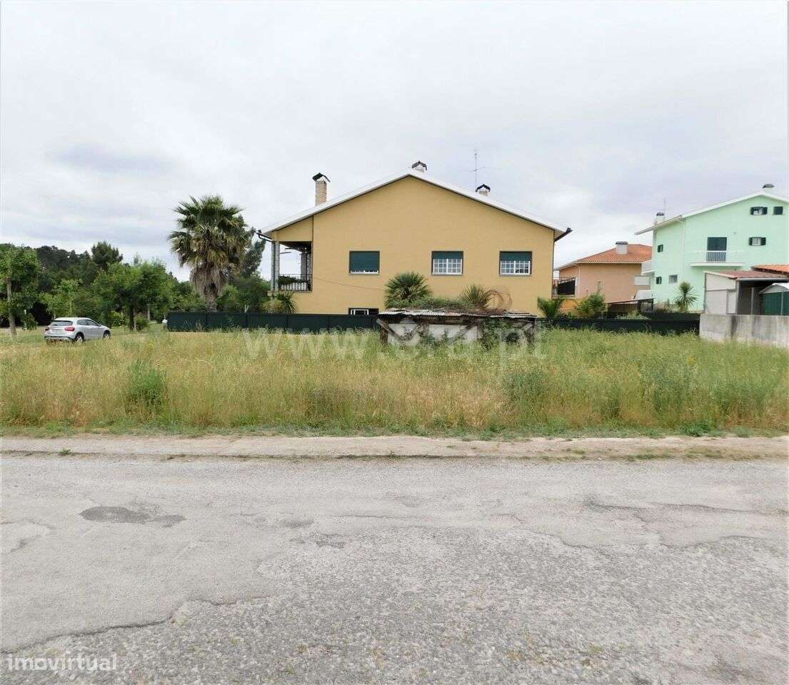 Lote / Seia, Santa Comba - Grande imagem: 4/10