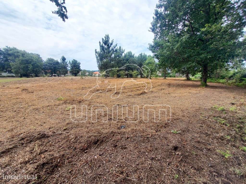 TERRENO - Cardielos, Viana do Castelo - Grande imagem: 2/7