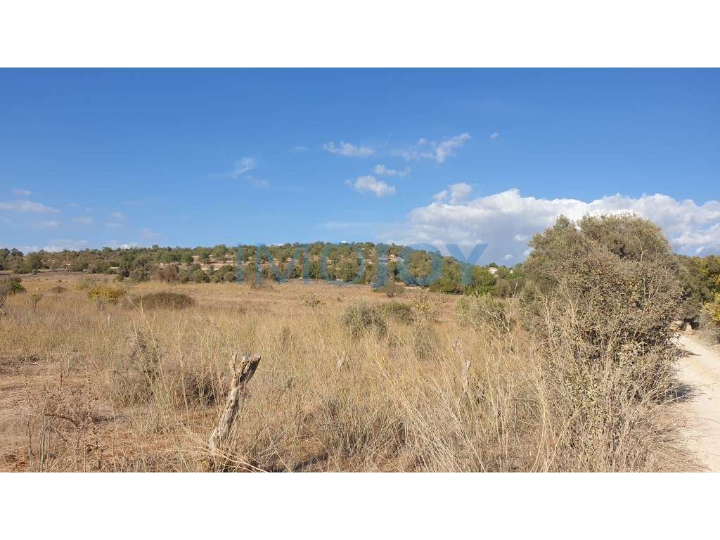 Terreno Rústico para Venda em Paderne - Grande imagem: 4/11