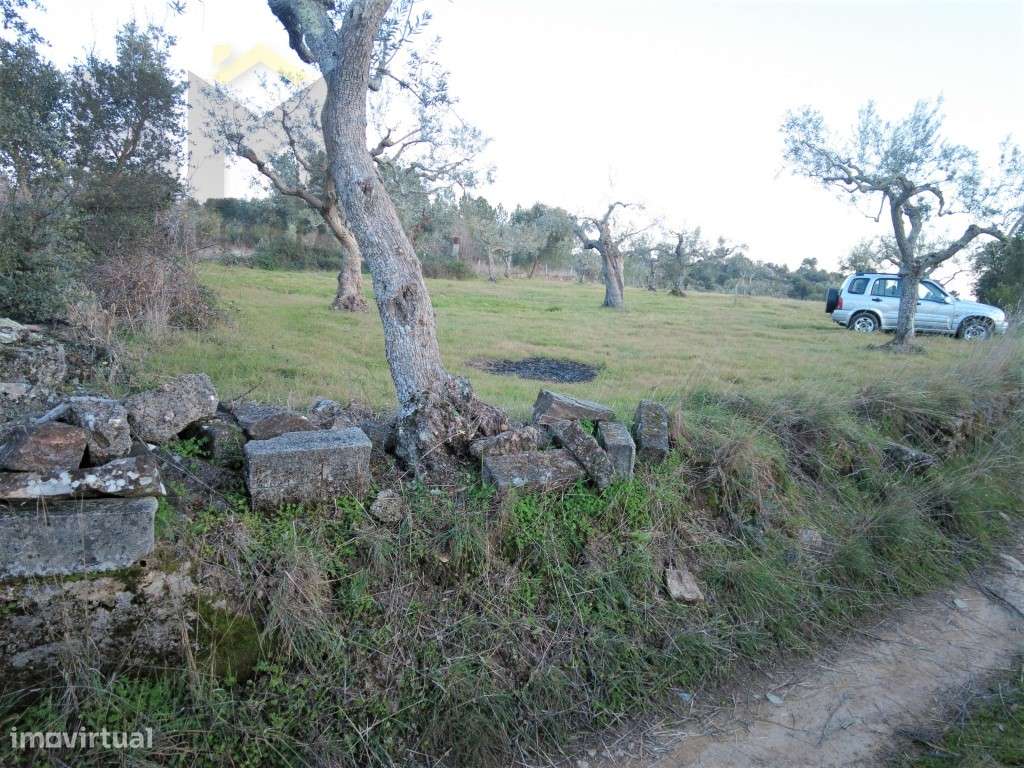 Quintinha em Palvarinho - Grande imagem: 3/26