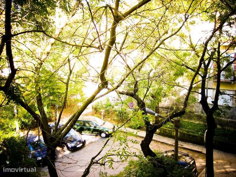 T2 bairro de Alvalade - Grande imagem: 3/11