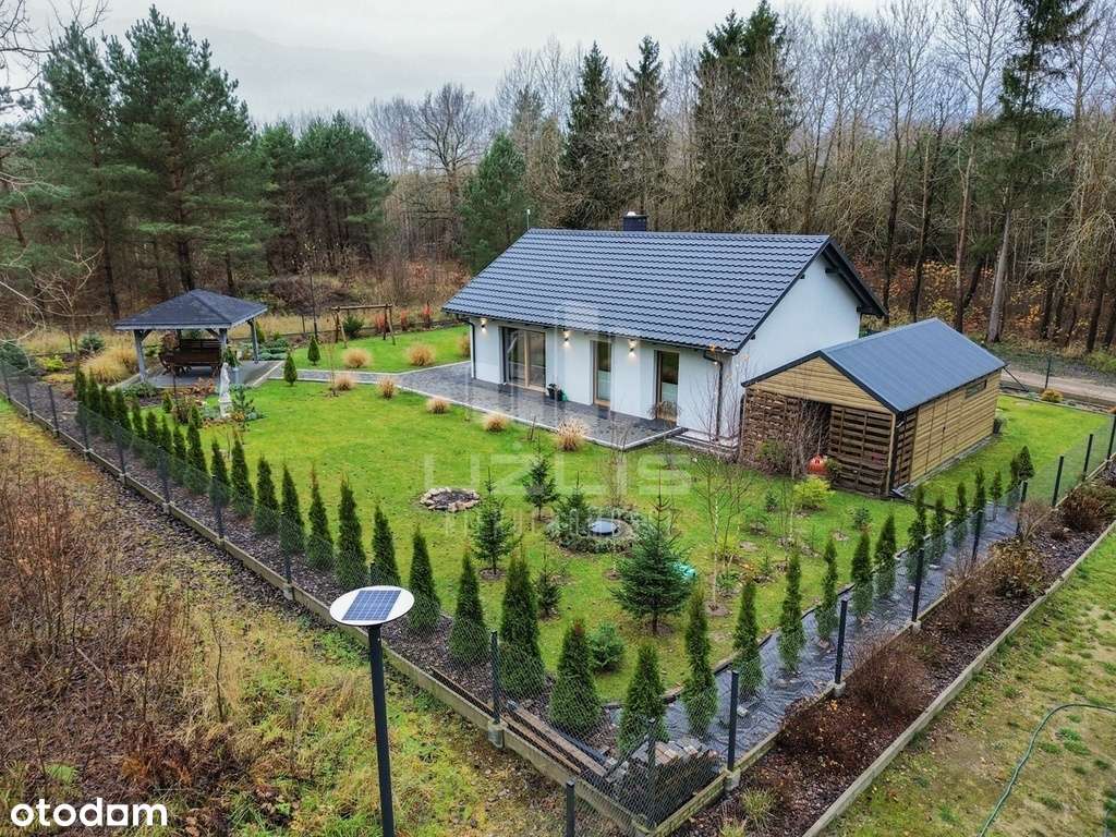 Nowy dom przy trzech jeziorach, leśna sceneria - Pełny obrazek: 4/20