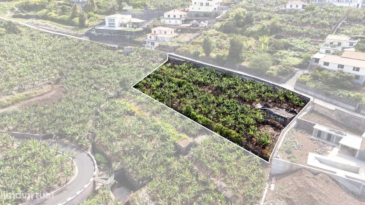 Terreno para construção 1946m2 - Arco da Calheta-10