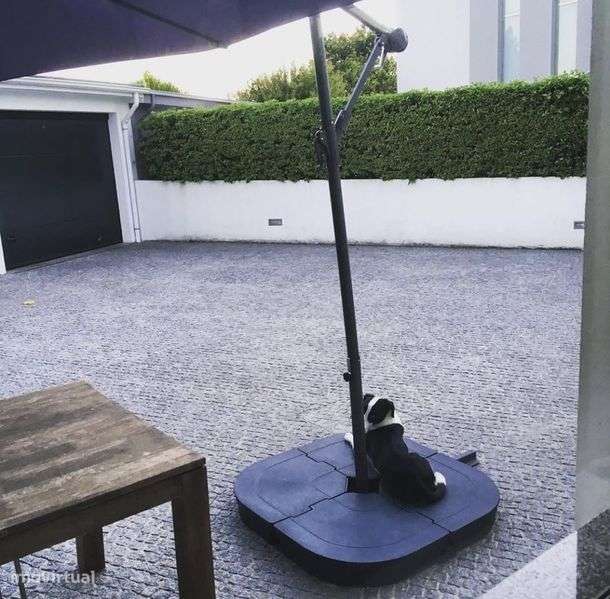 Vendo Moradia T4 Rio Tinto - Grande imagem: 4/8