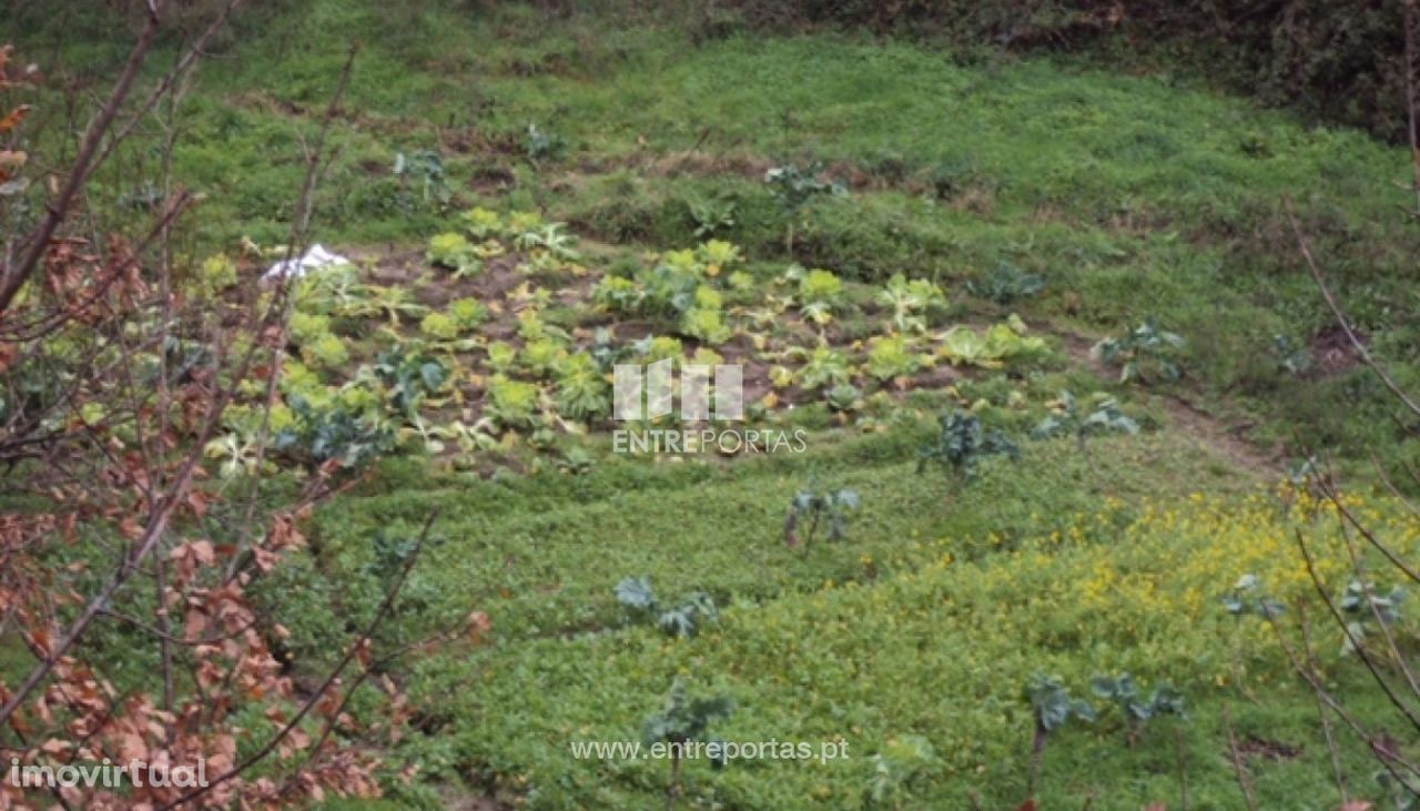 Venda Terreno, Campelo, Baião