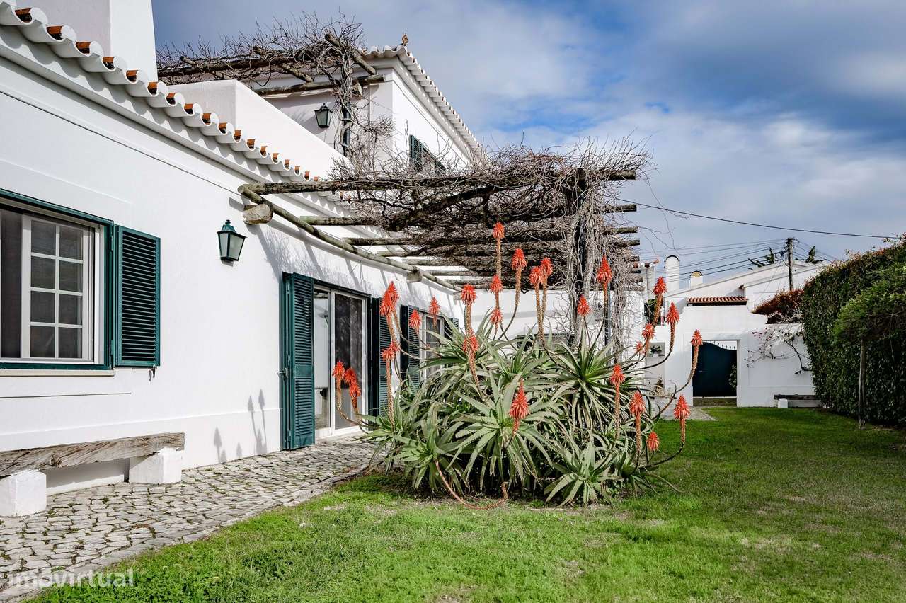 Moradia T3 no Morelinho - Grande imagem: 5/51