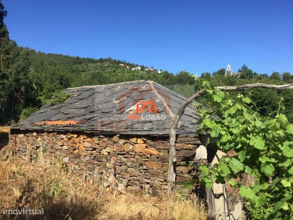 QUINTA - NESPEREIRA (CINFÃES) - Grande imagem: 4/18