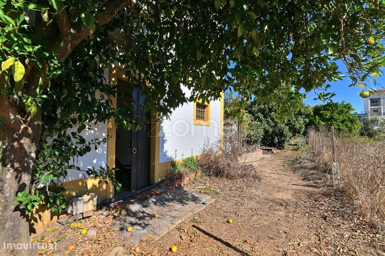 Quinta Ribeirinha Em Abrantes