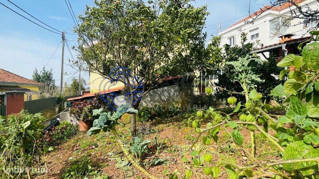 Moradia Exclusiva em Zona Tranquila de Ceira-6