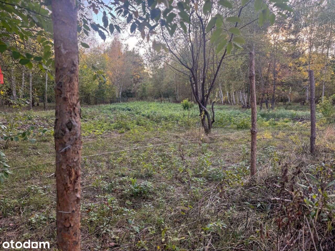 Atrakcyjna DZIAŁKA inwestycyjna, CENTRUM WWA-30min-3