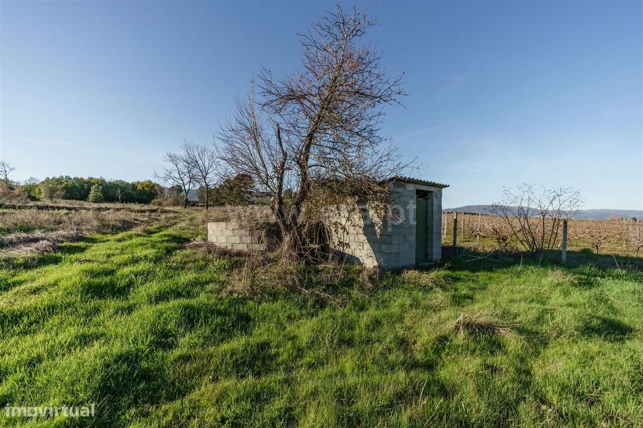 Quinta Estúdio / Covilhã, Orjais-7