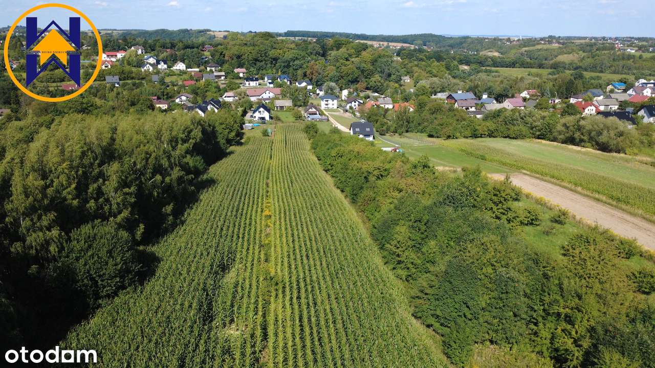 TYLKO U NAS: Działka, 80 ar, zabudowana domem i stodołą-4
