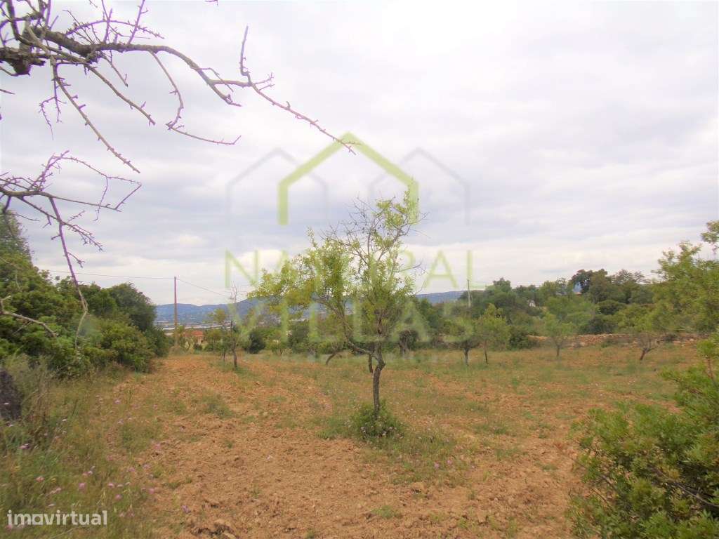 Terreno Rústico praticamente plano, Conceição de Faro - Grande imagem: 3/3