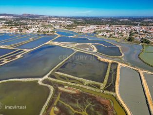 Arrenda Terreno de marinha com 13.600m2, bons acessos, nas  Praias do - Grande imagem: 5/35