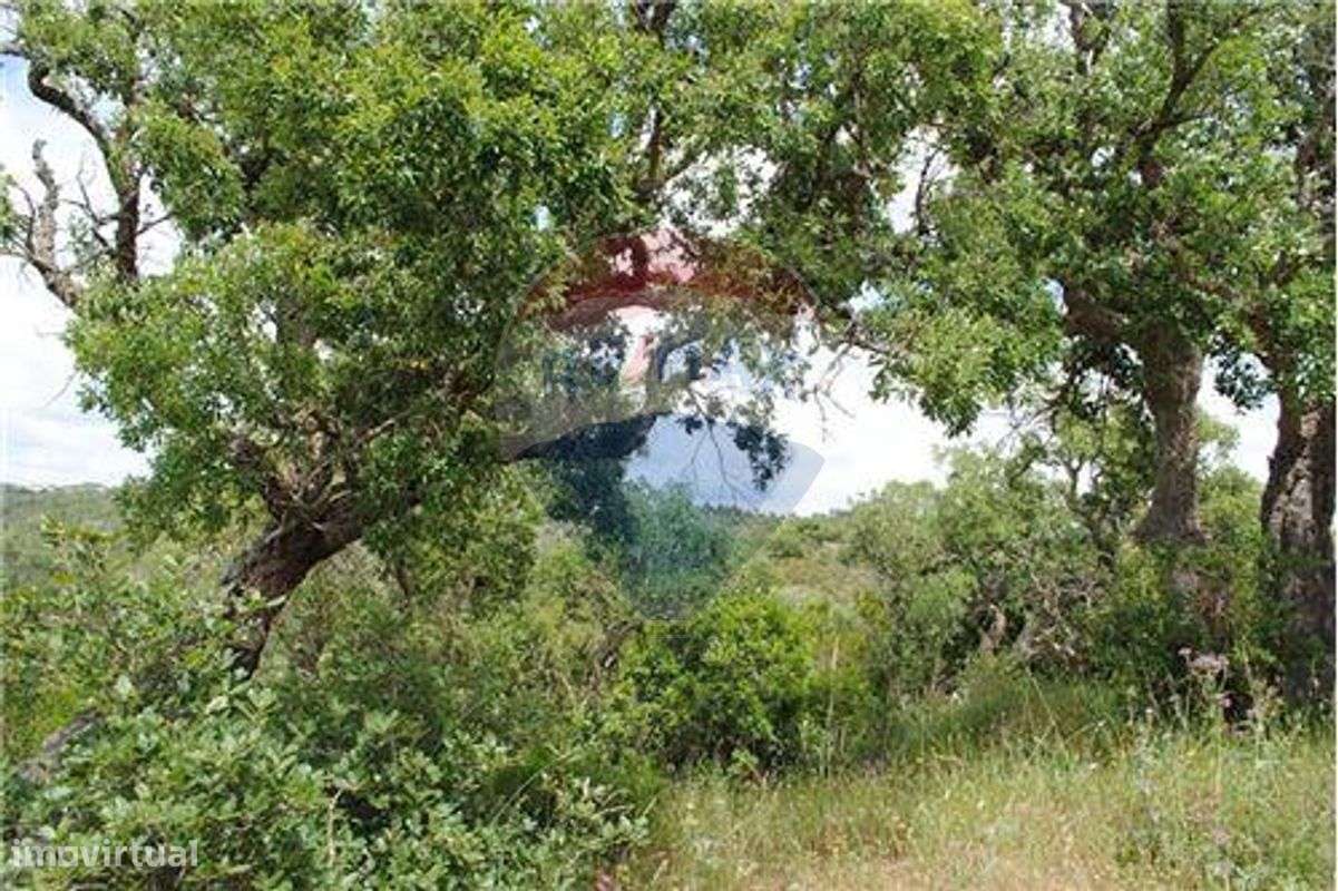 Terreno T0 para venda - Grande imagem: 4/12