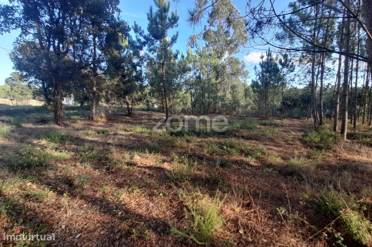 Terreno Rustico - Grande imagem: 5/28