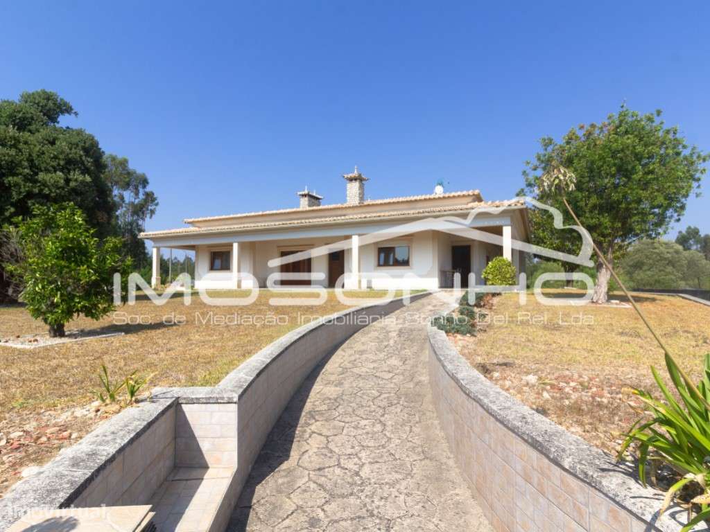 Venda conjunta de 2 moradias, 3 apartamentos, 3 armazéns e terrenos... - Grande imagem: 3/60
