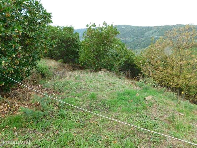 Quintinha / Seia, Sandomil - Grande imagem: 5/20