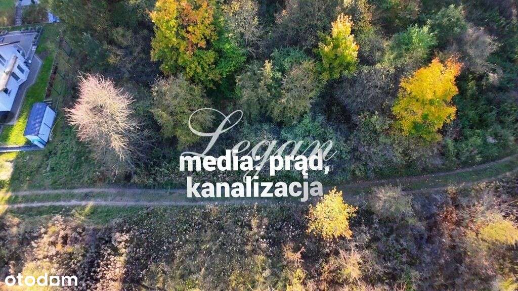 Atrakcyjna Działka przy Ścianie Lasu - Łupowo - Pełny obrazek: 5/6