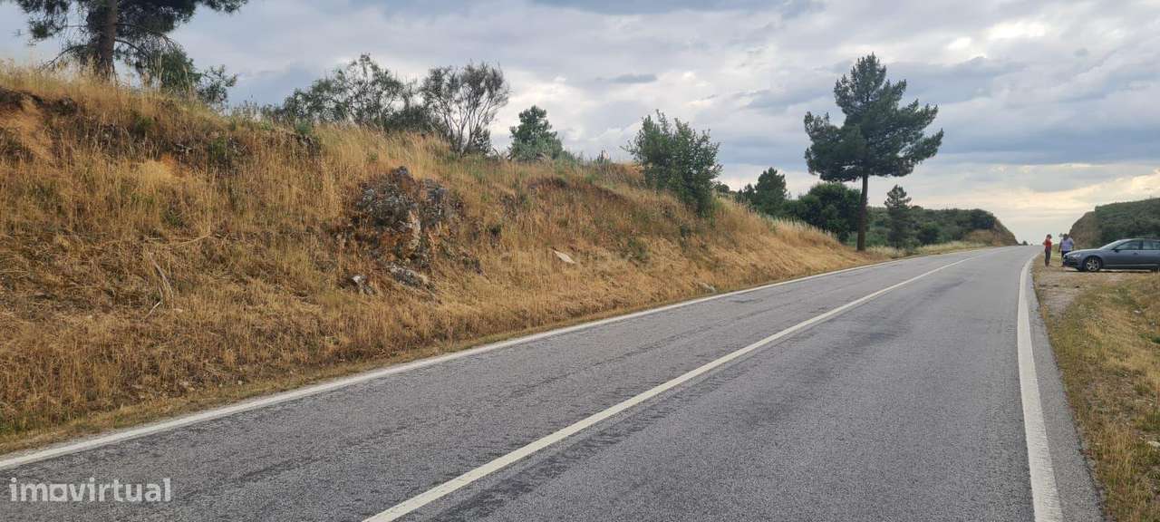 TERRENO EM VILA FLOR - A 4 km do Centro da Vila - Grande imagem: 4/5