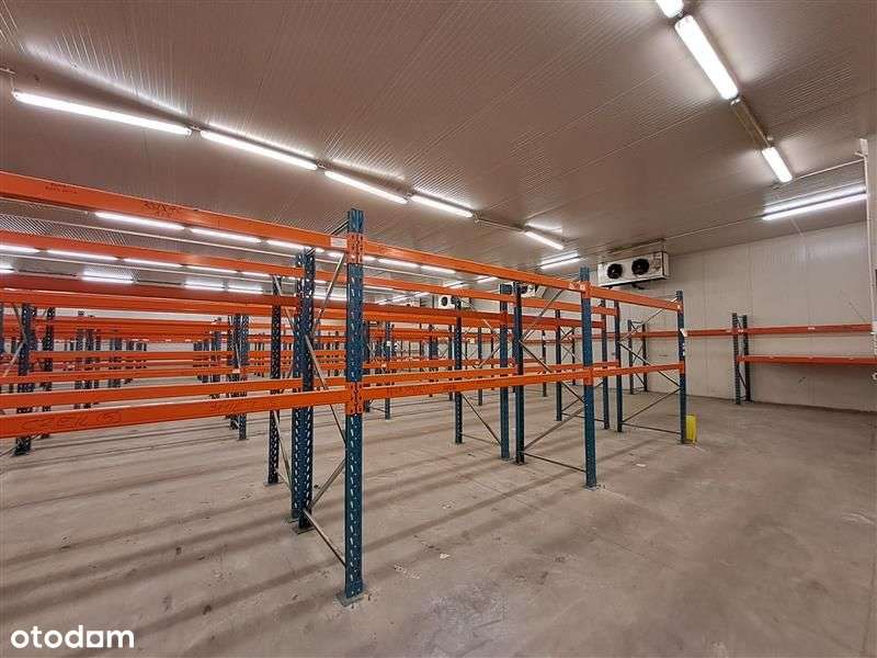 Magazyn z chłodniami w pobliżu autostrady A4. - Pełny obrazek: 4/18