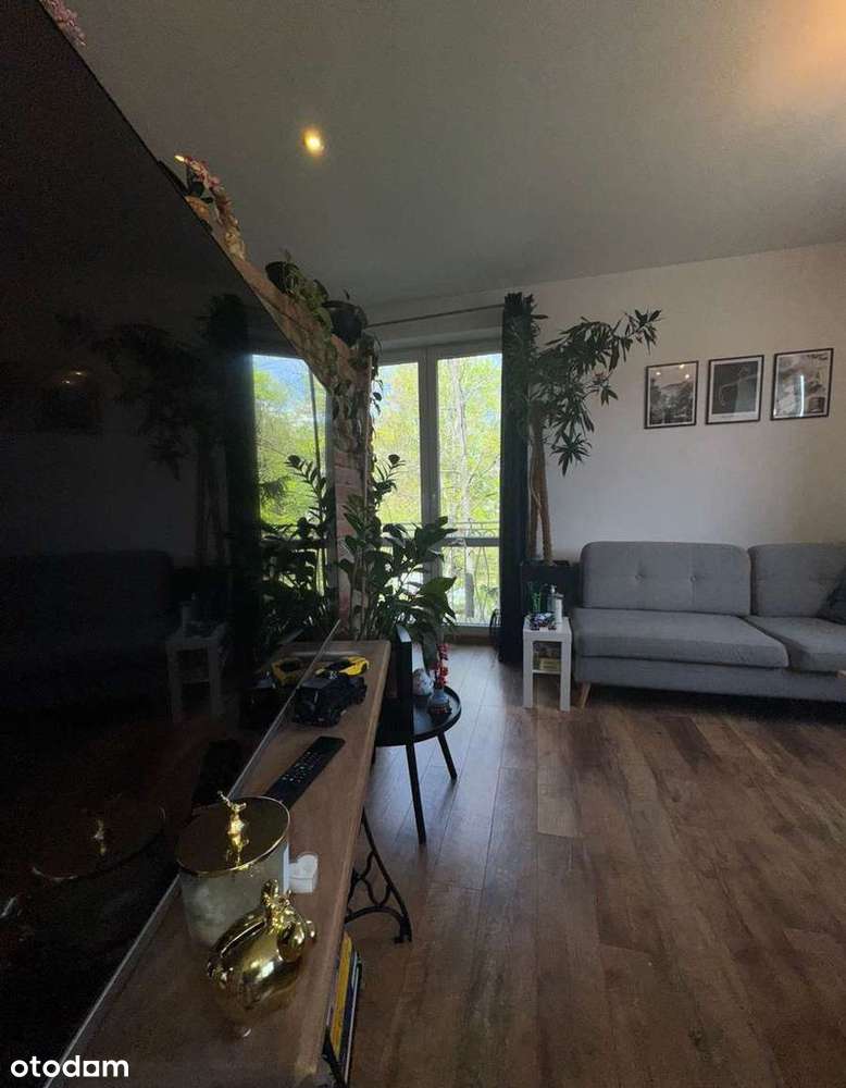 Przestronna kawalerka | 37m | kamienica - Pełny obrazek: 5/13